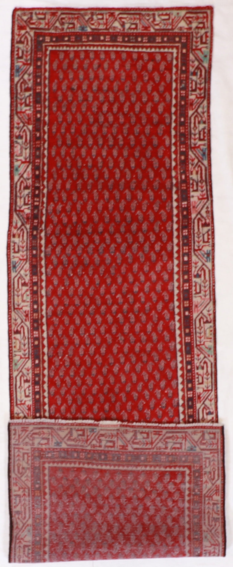 Runner - Hamadan Fine All Over Rectangle - Hand Knotted Rug