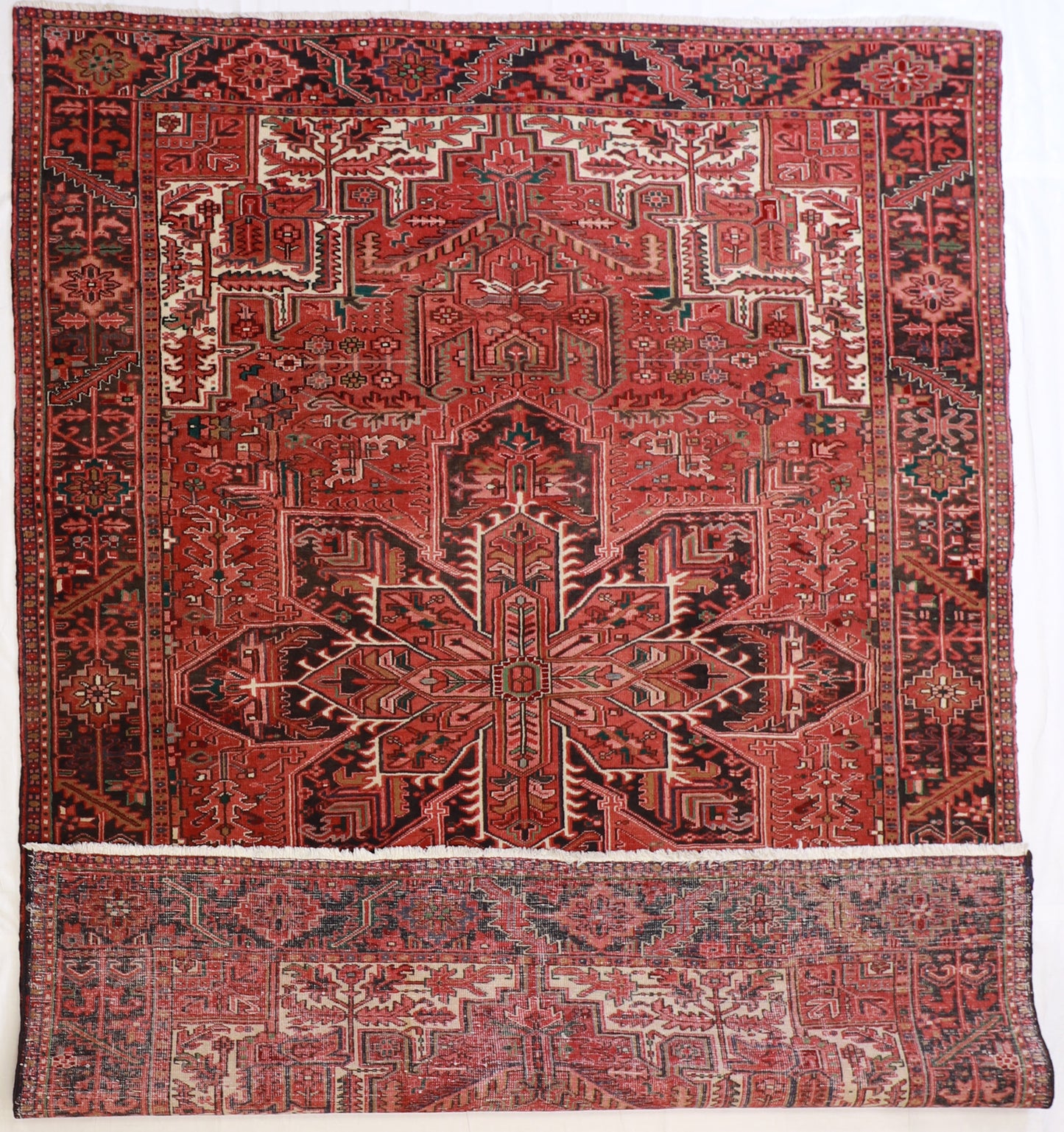 9 x12 - Heriz Wool Geometric Rectangle - Hand Knotted Rug