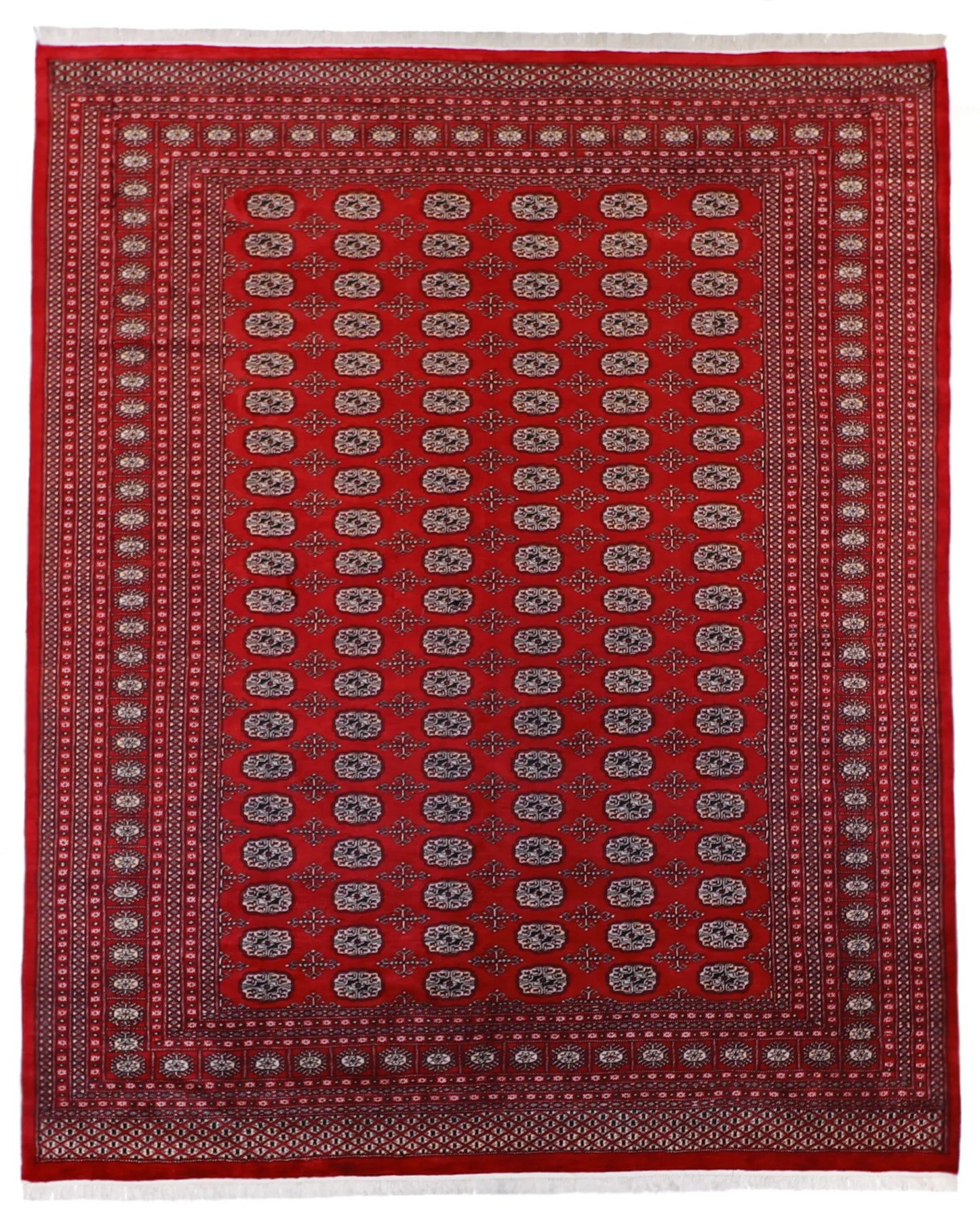 W 8.2 - L 9.1 - Bokhara Wool Traditional Rectangle - Finest Hand-Knotted Quality Wool - 21858