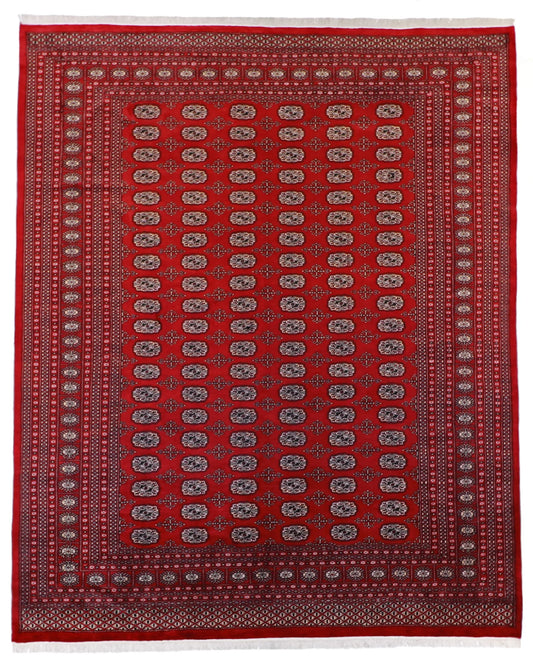 W 8.2 - L 9.1 - Bokhara Wool Traditional Rectangle - Finest Hand-Knotted Quality Wool - 21858