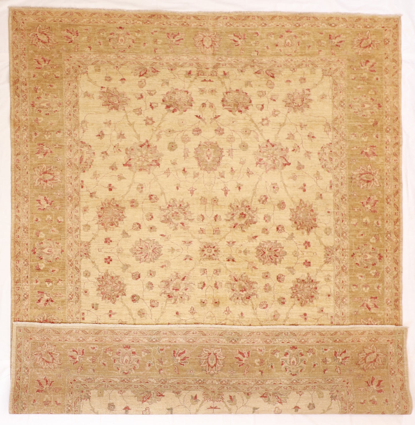 8x10 - Haj Jallie Wool All Over Rectangle - Hand Knotted Rug