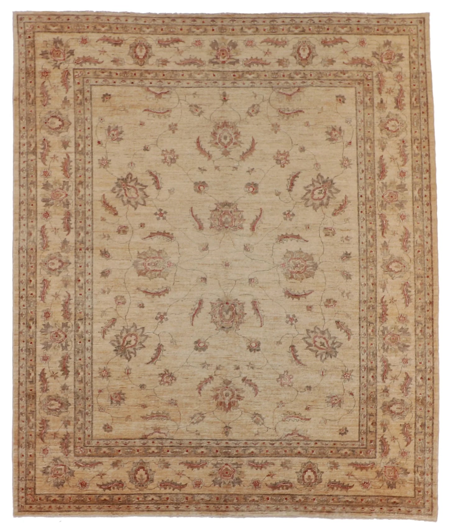 W 8.2 - L 9.8 - Ziegler Mahal Wool Traditonal Rectangle - Finest Hand-Knotted Quality Wool - 52533