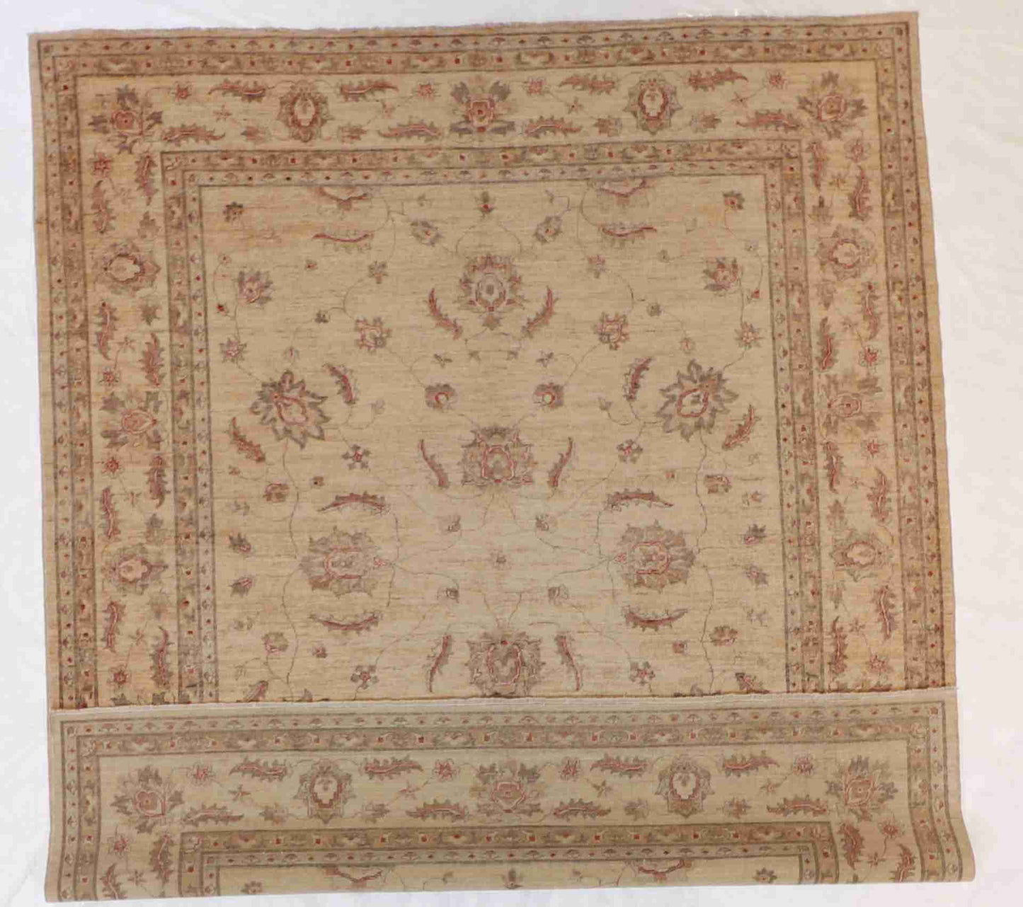 W 8.2 - L 9.8 - Ziegler Mahal Wool Traditonal Rectangle - Finest Hand-Knotted Quality Wool - 52533