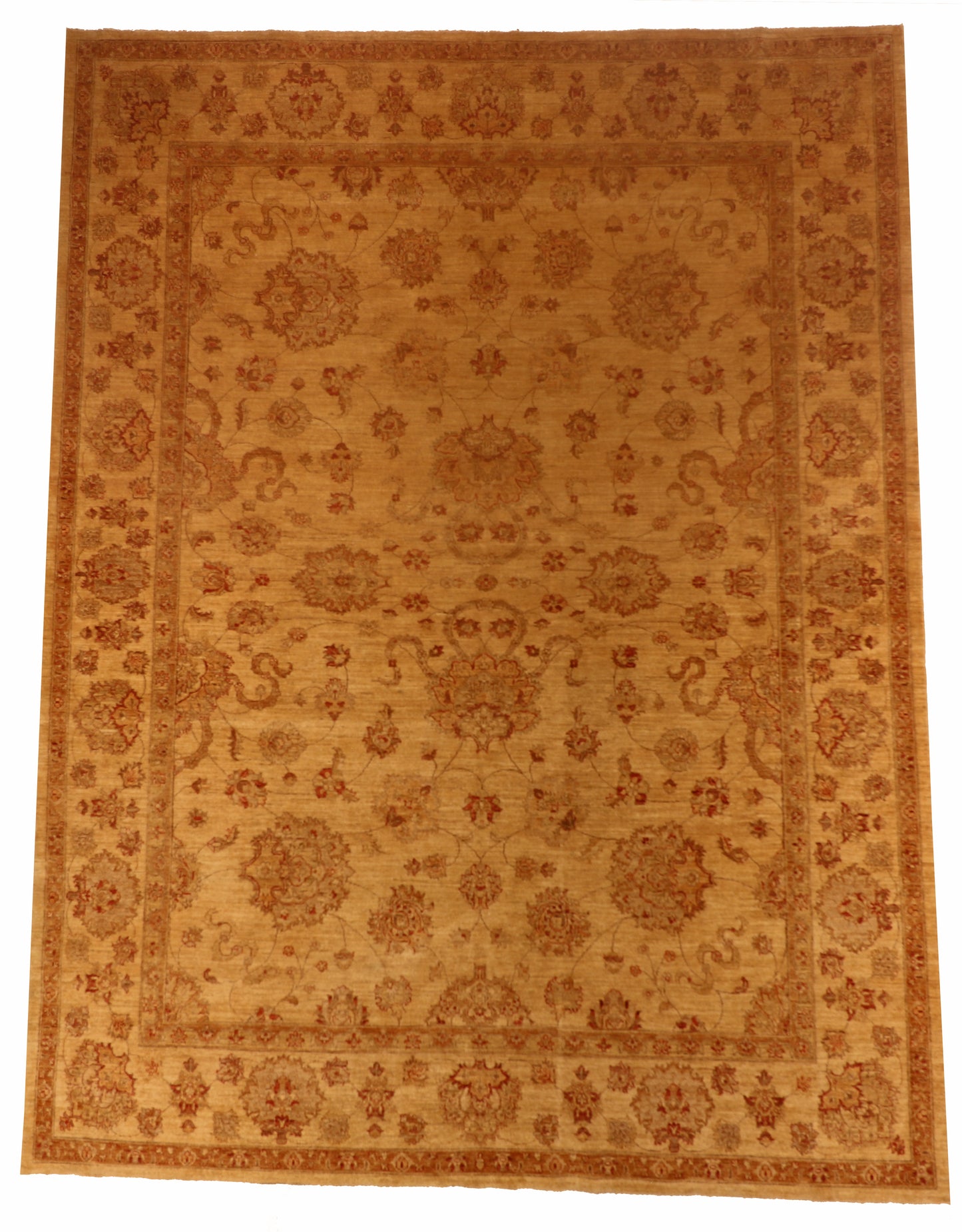 10x14 - Agra Fine Wool All Over Rectangle - Hand Knotted Rug