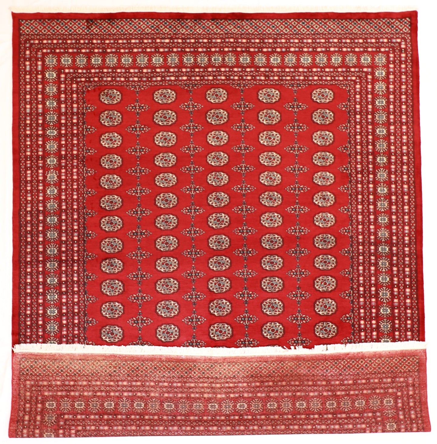 W 8.2 - L 10 - Bokhara Wool Traditional Rectangle - Finest Hand-Knotted Quality Wool - 57094